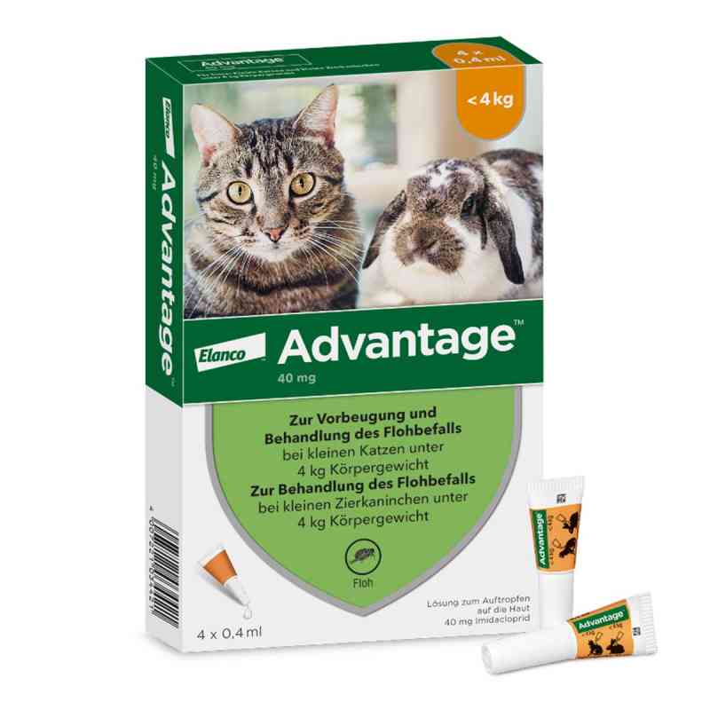 Advantage Spot-On für Katzen und Zierkaninchen bis 4 kg  4X0.4 ml von Elanco Deutschland GmbH PZN 09670096