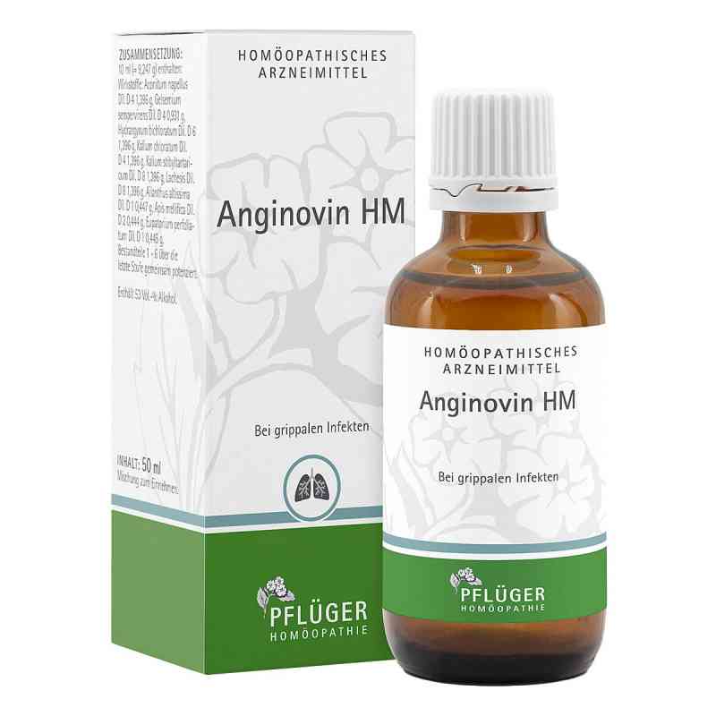 Anginovin Hm Tropfen 50 ml von Homöopathisches Laboratorium Ale PZN 01033220