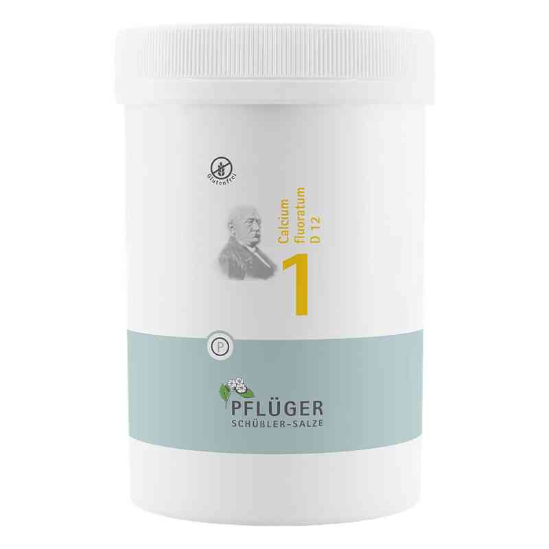 Biochemie Pflüger 1 Calcium fluor.D 12 Tabletten 4000 stk von Homöopathisches Laboratorium Alexander Pflüger Gmb PZN 06318766
