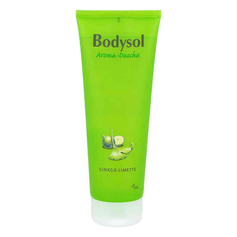 Bodysol Aroma Duschgel Ginkgo Limette 250 ml von Perrigo Deutschland GmbH PZN 09001314