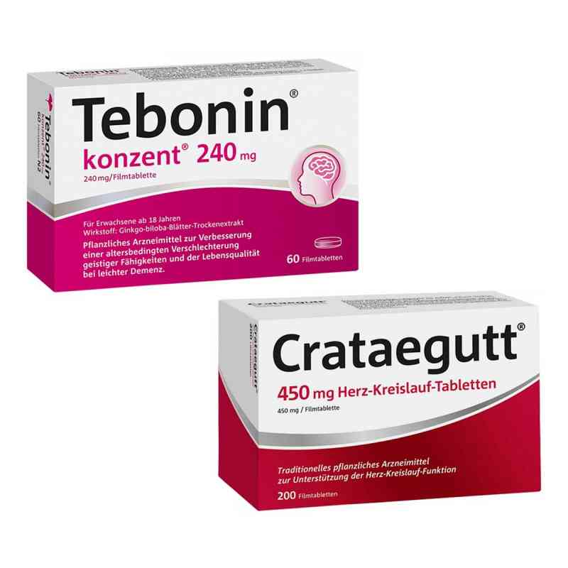 Crataegutt 450 mg und Tebonin konzent 200+60 stk von Dr.Willmar Schwabe GmbH & Co.KG PZN 08105304