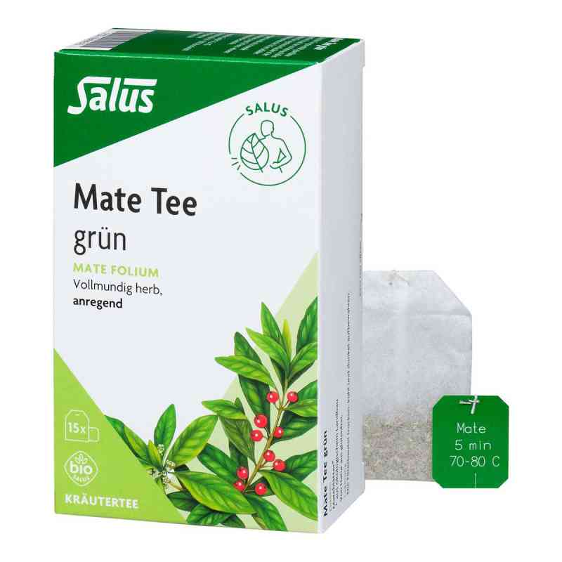 Mate Tee grün Kräutertee Mate folium bio Salus 15 stk von SALUS Pharma GmbH PZN 06494316