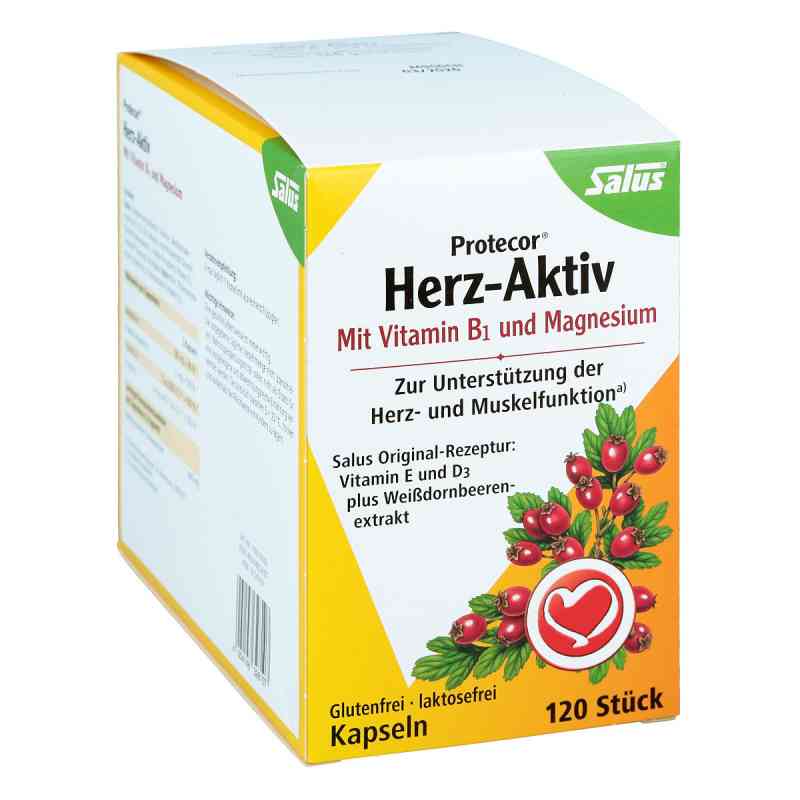 Protecor Herz-aktiv Kapseln 120 stk von SALUS Pharma GmbH PZN 01249109