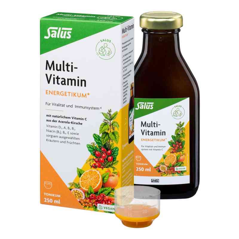 Salus Multivitamin Energetikum 250 ml von SALUS Pharma GmbH PZN 09189855