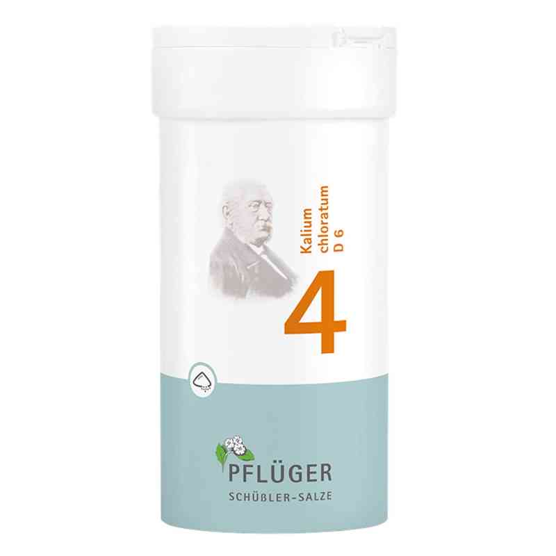 Schüßler-Salze Biochemie Pflüger 4 Kalium chlor. D6 Pulver 100 g von Homöopathisches Laboratorium Alexander Pflüger Gmb PZN 06323371
