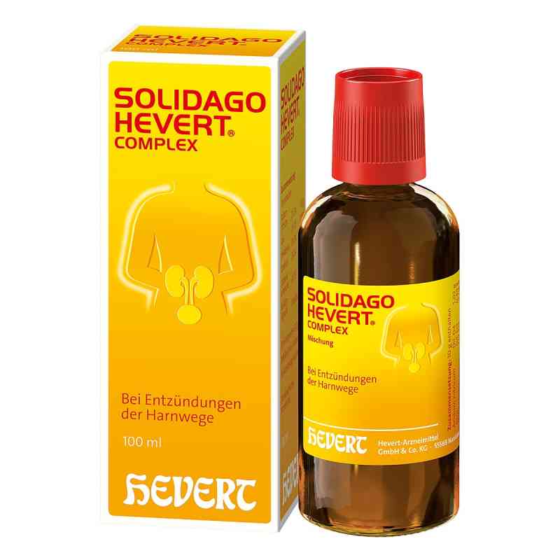 Solidago Hevert Complex Tropfen 100 ml von Hevert-Arzneimittel GmbH & Co. KG PZN 04375323