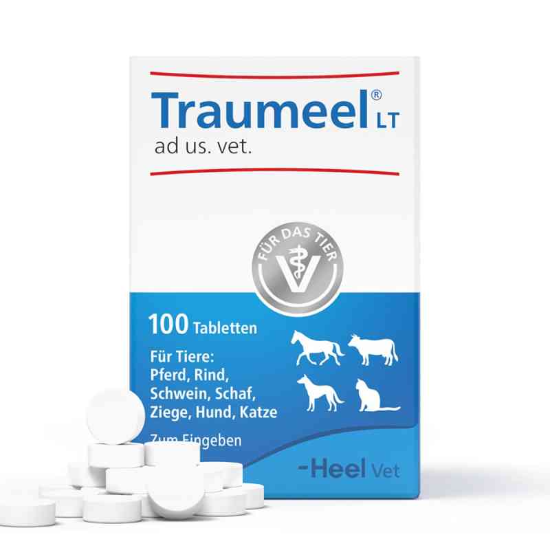 Traumeel LT ad us. vet. Tabletten 100 stk von Biologische Heilmittel Heel GmbH PZN 15300311