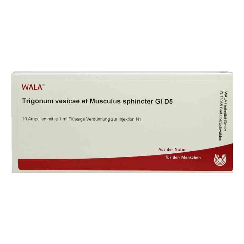 Trigonum Ves.et Musc.sph.gl D5 Ampullen 10X1 ml von WALA Heilmittel GmbH PZN 03661110