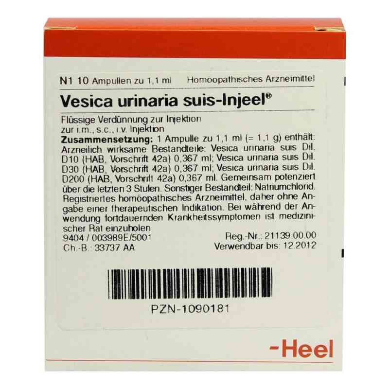 Vesica urinaria suis-Injeel Ampullen 10 stk von Biologische Heilmittel Heel GmbH PZN 01090181