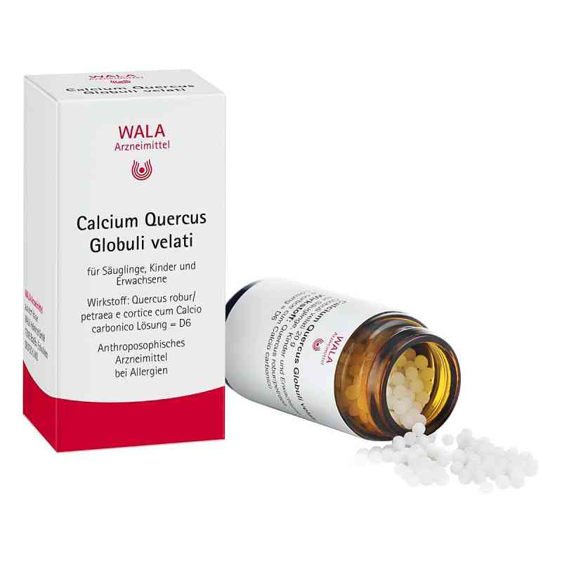 Wala Calcium Quercus Globuli velati 20 g von WALA Heilmittel GmbH PZN 00081091