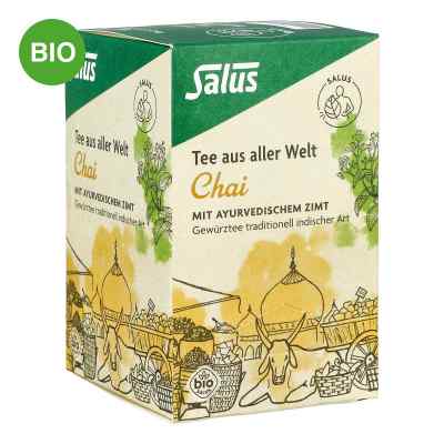Chai Tee Bio Salus Filterbeutel 15 stk von SALUS Pharma GmbH PZN 02034411
