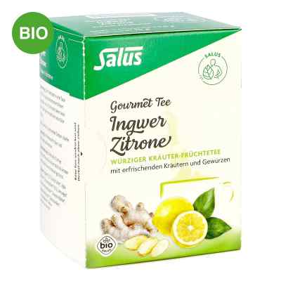 Ingwer Zitrone Tee Salus Filterbeutel