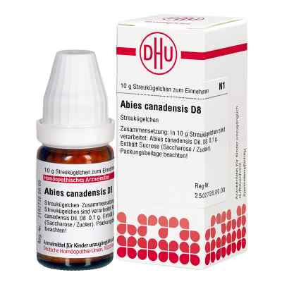 Abies Canadensis D8 Globuli 10 g von DHU-Arzneimittel GmbH & Co. KG PZN 04200032