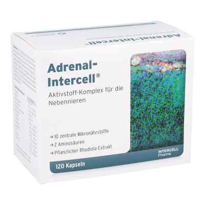 Adrenal-intercell Kapseln