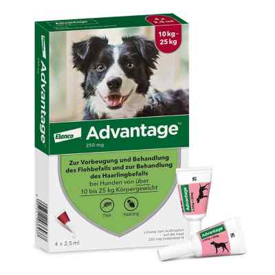 Advantage Spot-On für Hunde von 10 bis 25 kg Körpergewicht 4 stk von Elanco Deutschland GmbH PZN 08613328