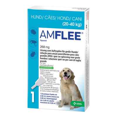 Amflee 268 mg Lösung zur, zum Auftropfen für grosse Hunde 3 stk von TAD Pharma GmbH PZN 11099846