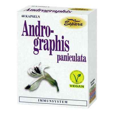 Andrographis paniculata Kapseln 60 stk von VIS-VITALIS PZN 07643333