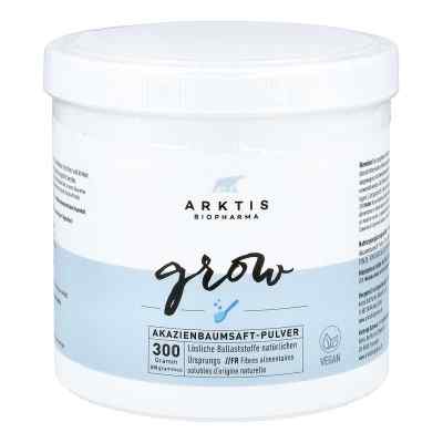 Arktis Akazienbaumsaft-Pulver 300 g von Arktis BioPharma GmbH PZN 16024244