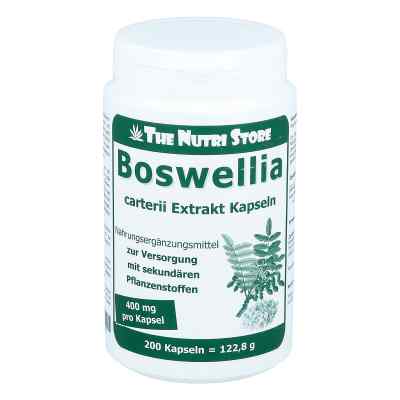 Boswellia Carterii 400 mg Extrakt veget. Kapseln 200 stk von Hirundo Products PZN 07779529