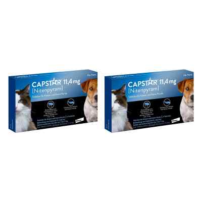Capstar 11,4 mg für Katzen und kleine Hunde Tabletten 2x6 stk von Elanco Deutschland GmbH PZN 08102639