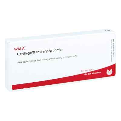 Cartilago/mandragora compositus Ampullen 10X1 ml von WALA Heilmittel GmbH PZN 01751139