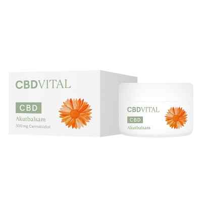 Cbd Vital Akutbalsam 50 ml von Vitrasan GmbH PZN 16578706