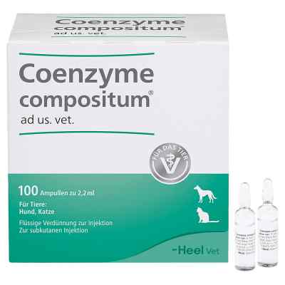 Coenzyme compositum ad usus vet.Ampullen 100 stk von Biologische Heilmittel Heel GmbH PZN 15300417