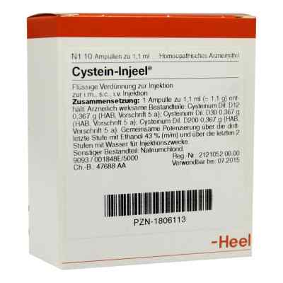 Cystein Injeel Ampullen 10 stk von Biologische Heilmittel Heel GmbH PZN 01806113