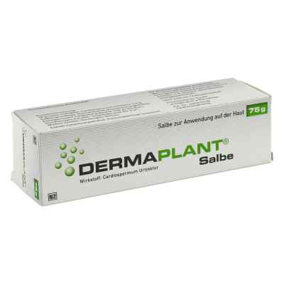 Dermaplant Salbe 75 g von Dr.Willmar Schwabe GmbH & Co.KG PZN 01713529