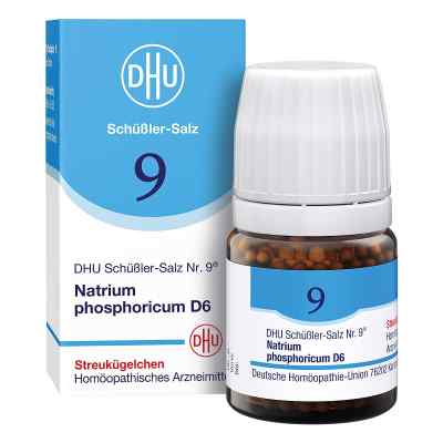 DHU Schüßler-Salz Nummer 9 Natrium phosphoricum D6 Globuli