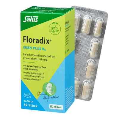Floradix Eisen Plus B12 vegan Kapseln