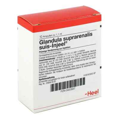 Glandula Suprarenalis suis Injeel Ampullen 10 stk von Biologische Heilmittel Heel GmbH PZN 00420937