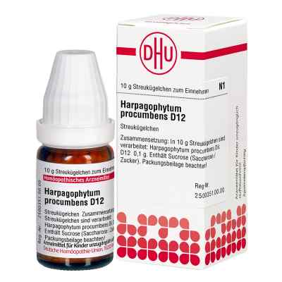 Harpagophytum Proc. D12 Globuli 10 g von DHU-Arzneimittel GmbH & Co. KG PZN 07169251