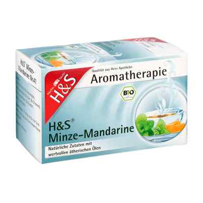 H&s Bio Minze-mandarine Aromatherapie Filterbeutel 20X1.0 g von H&S Tee - Gesellschaft mbH & Co. PZN 12374295