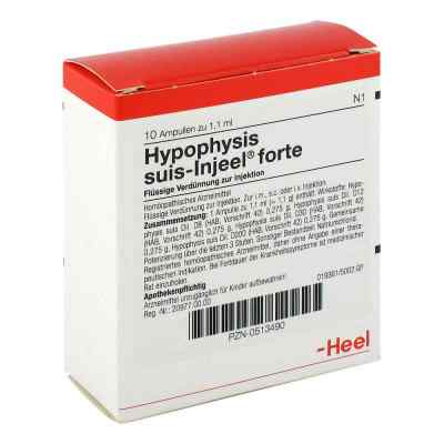 Hypophysis Suis Injeel forte Ampullen 10 stk von Biologische Heilmittel Heel GmbH PZN 00513490