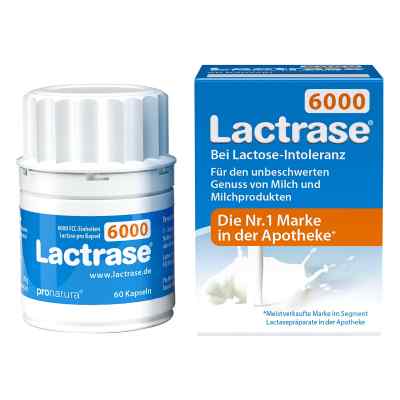 Lactrase 6.000 Fcc Kapseln