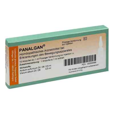 Panalgan Ampullen 10 stk von COMBUSTIN Pharmazeutische Präpar PZN 00554589