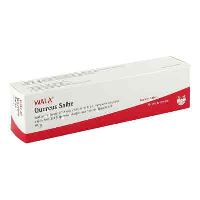 Quercus Salbe 100 g von WALA Heilmittel GmbH PZN 01448441