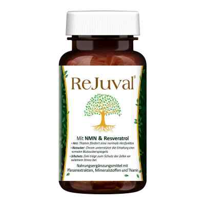 Rejuval Mit Nmn Resveratrol Egcg Anti-aging Kapsel (n)