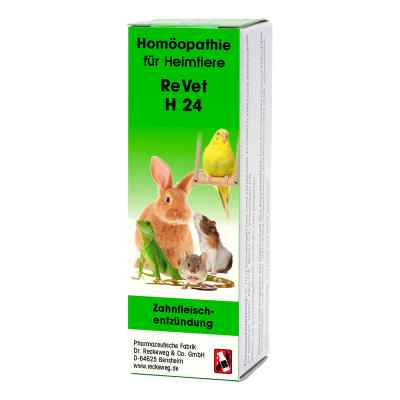Revet H 24 veterinär Globuli 10 g von Dr.RECKEWEG & Co. GmbH PZN 03703038