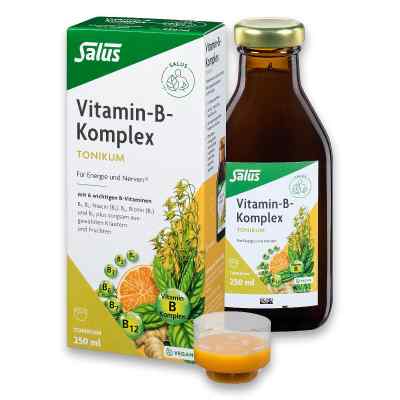 Salus Vitamin B Komplex Tonikum 250 ml von SALUS Pharma GmbH PZN 06149246