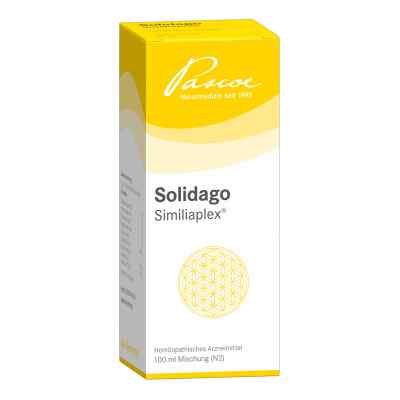 Solidago Similiaplex Tropfen 100 ml von Pascoe pharmazeutische Präparate PZN 05463791