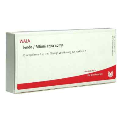 Tendo/ Allium Cepa compositus Ampullen