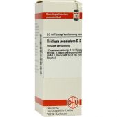 Trillium Pendulum D2 Dilution 20 ml von DHU-Arzneimittel GmbH & Co. KG PZN 07182501