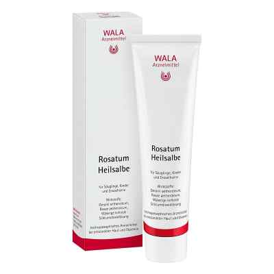 Wala Rosatum Heilsalbe 100 g von WALA Heilmittel GmbH PZN 01448530