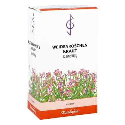 Weidenröschenkraut kleinblütig Tee