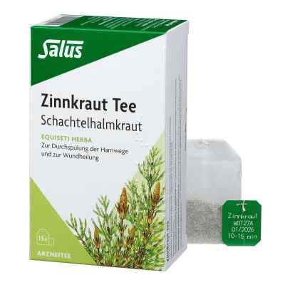 Zinnkraut Tee Schachtelhalmkraut Salus Filterbeut.